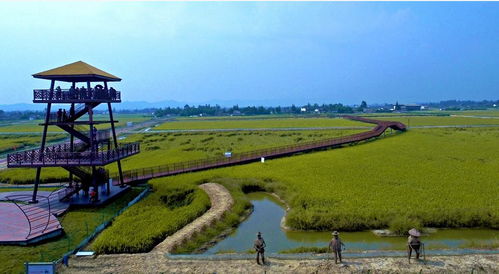 2018邛崍樂漁節(jié)暨漁香米豐收節(jié) 一場農(nóng)漁文化的盛宴邀您共赴